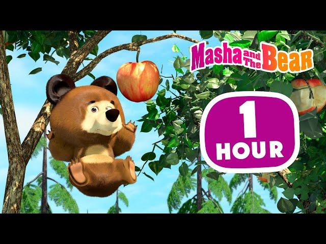 Masha and the Bear 2024  Animal stories  1 hour ⏰ Сartoon collection 