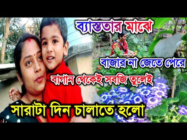 বাগানের সব্জি দিয়েই সারাটা দিন চললো! ছাদবাগানে নতুন ফুল ফুটলো @CreationofMou #tagpayel