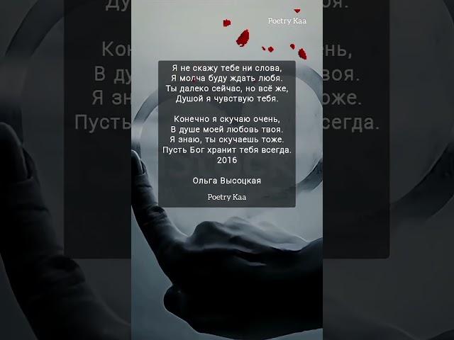  "Я не скажу тебе ни слова" Ольга Высоцкая #стихиожизни #поэзия #любовь #ahdreykaa #рек