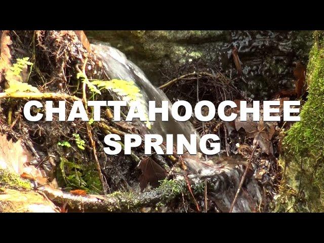 Chattahoochee Spring in Chattahoochee, Florida