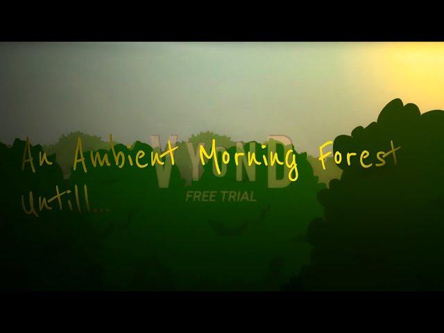 An Ambient Morning Forest Until...