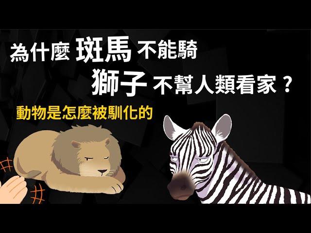 為什麼人類不騎斑馬? 獅子不幫人類看家  動物是怎麼被馴化的? 【馴化的歷史】