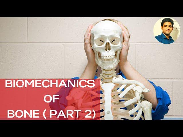 BIOMECHANICS OF BONE( PART 2)