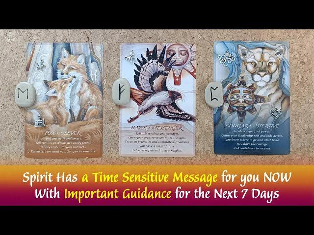 Spirit Has a Time Sensitive Message You Are Meant to Hear NowPlus Guidance for the Next 7 Days