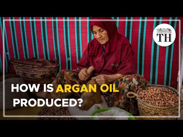 Why is argan production in Morocco in trouble? | The Hindu