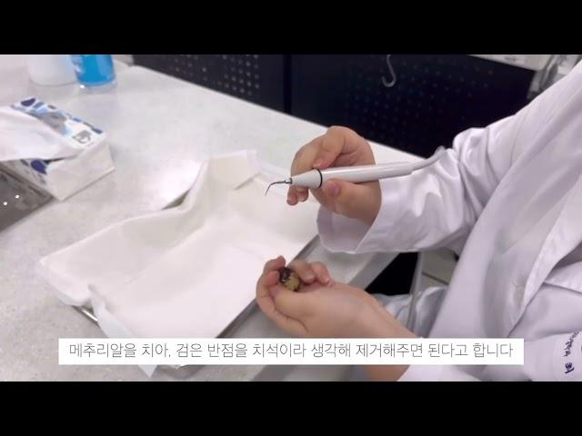#경복대학교 #경복대치위생과 #전공체험 준비 및 진행