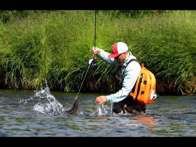 Mouse Fishing in Kamchatka, Russia Ozernaya River