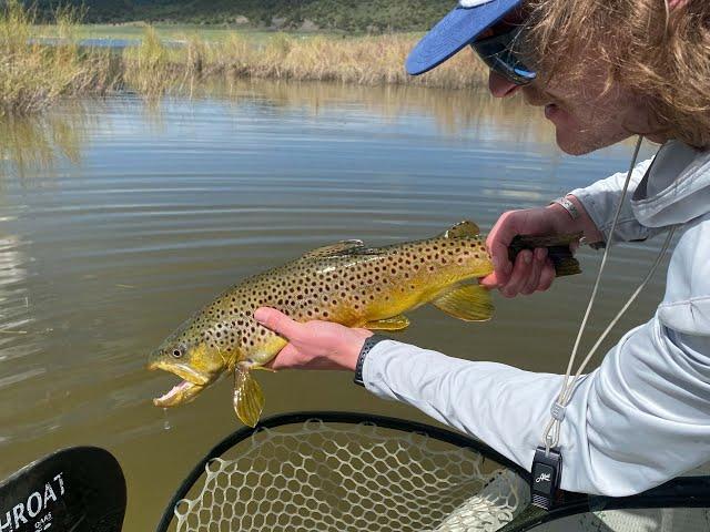 Miramonte Reservoir Fly Fishing with Telluride Angler