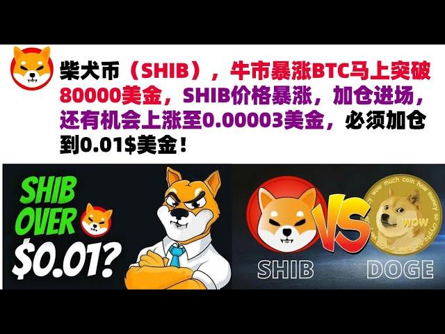 柴犬币（SHIB），牛市暴涨BTC马上突破80000美金，SHIB价格暴涨，加仓进场，还有机会上涨至0.00003美金，必须加仓到0.01$美金！shib币|柴犬币|屎币行情分析！