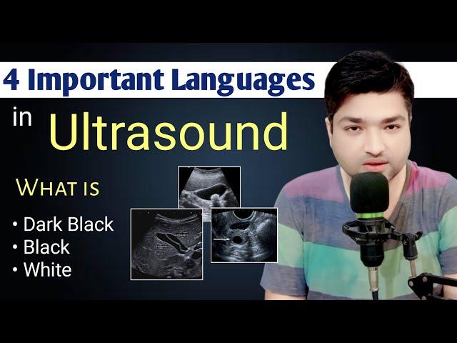 4 Important Language in Ultrasound by Dr Ali Waqar