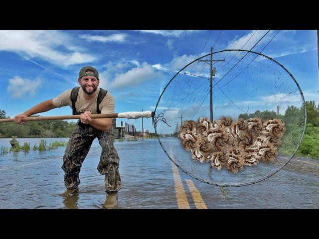 Scooping Up SHRIMP at a FLOODED HIGHWAY (Catch and Cook)