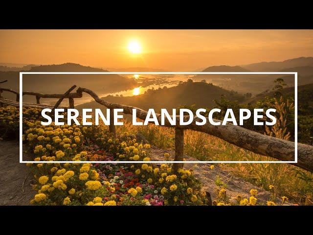 Serene landscapes relaxing melodies music