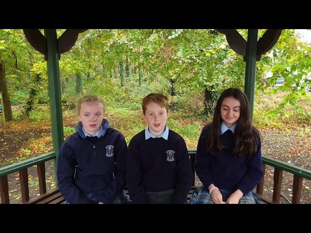 Coláiste Mhuire Ballygar Promotional Video 2018