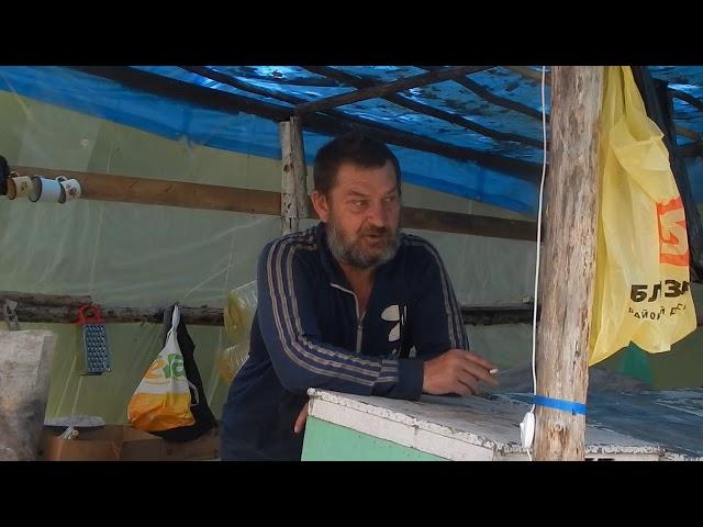 Еду на липу. Пасека в тайге.