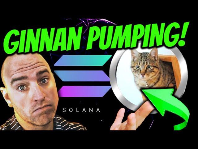  GINNAN SOLANA PUMPING!  MAJOR UPDATE TODAY!  DOGECOIN BROTHER?