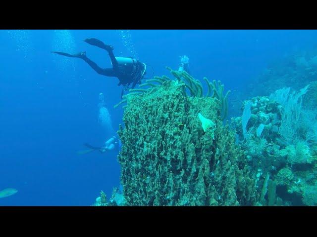 Diving Belize - Glover’s Reef Atoll