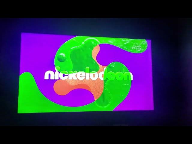 Nickelodeon Productions Logo 2023 Debut