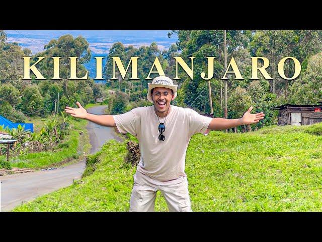 MOUNT KILIMANJARO | Buurta Africa ugu dheer  ️