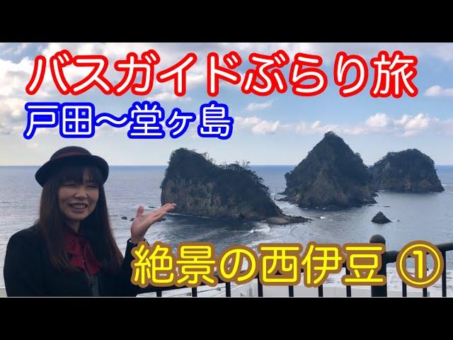 バスガイドぶらり旅  vol.46  絶景の西伊豆（前編）