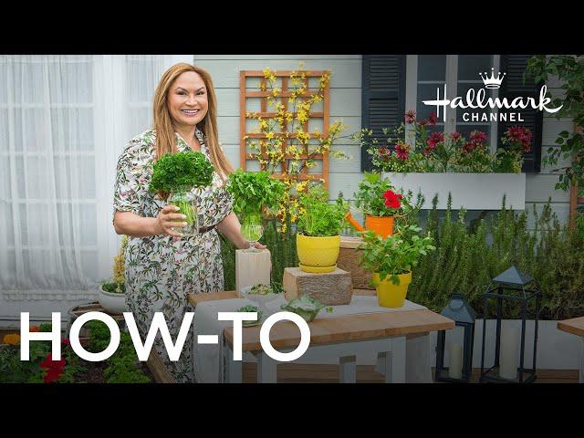 How to Grow Parsley - Home & Family