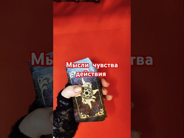 мысли чувства действия #таро #гаданиенапару #tarot