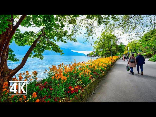 Switzerland  Montreux, scenic spring walk in the Promenade