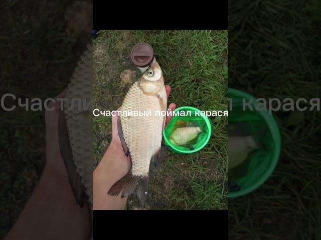 #Диктуй Клёв #https://t.me/diktujklev мой telegram канал #РыбалкаТоп #Fishing #Fish #ЛегендаЮтюба