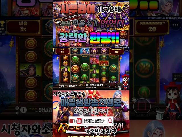 사무라이메가웨이즈1578배 보라돌이엉니가 한방에똭 !#shorts #슬롯 #프라그마틱  #슬롯실시간 #실시간슬롯 #슬롯봉순이#슬롯마봉순