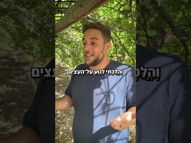 ידעתם את זה ?