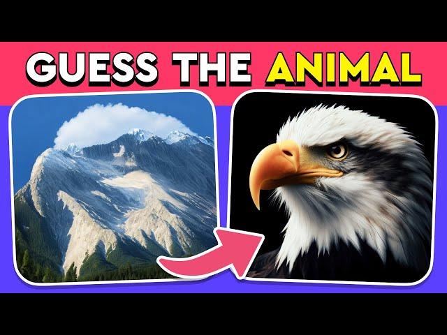 Guess the Hidden Animal by ILLUSION  Easy, Medium, Hard levels Quiz