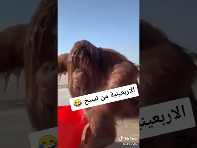 المرأه الاربعينية من تسبح