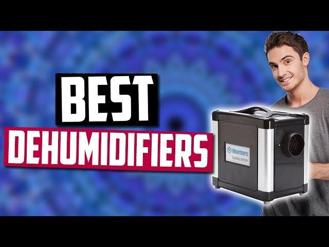 Best Dehumidifiers in 2020 [Top 5 Picks]