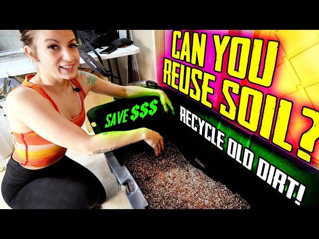 Can you reuse old soil? Recycling old soil at home!