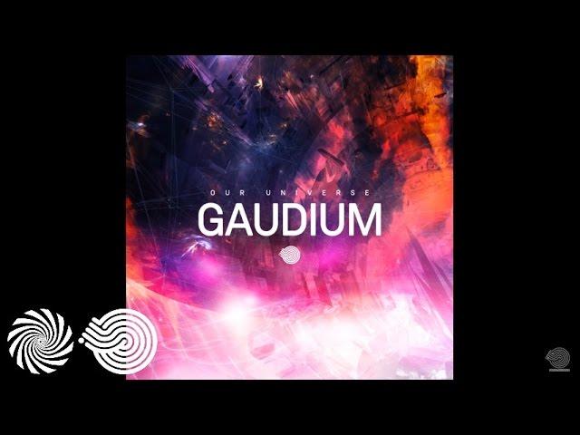 Gaudium - Our Universe