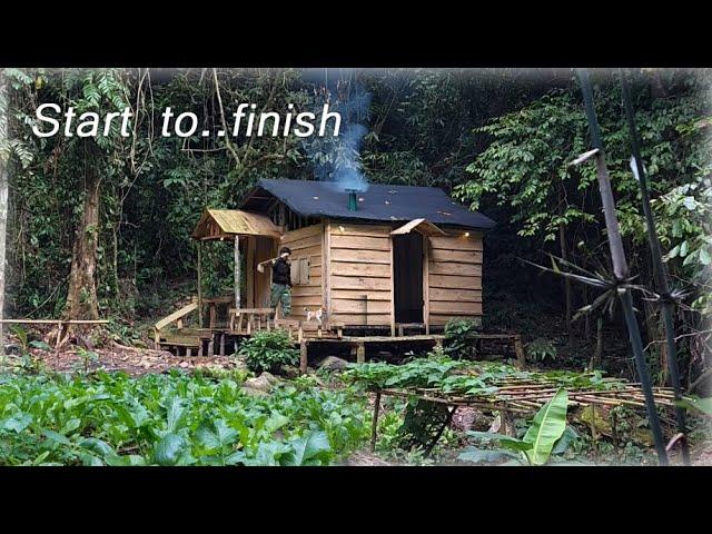 200 Day of Bushwalking,Building Off-Grid Cabin,Growing Vegetables for Sale,Doing hydroelectric power
