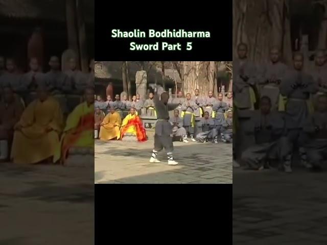 Shaolin Bodhidharma Sword Part  5. #kungfu #sword #neuquen #chien