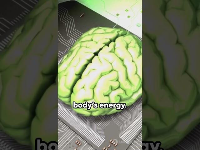 Brainy Bites Unraveling Human Brain Facts