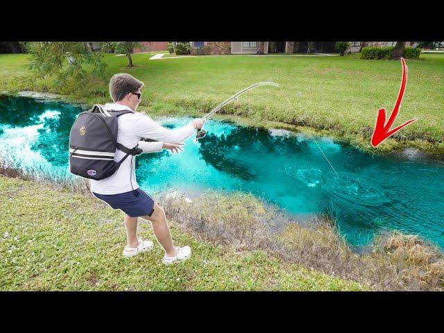 Exploring Backyard Canals FULL of Big Florida Fish!