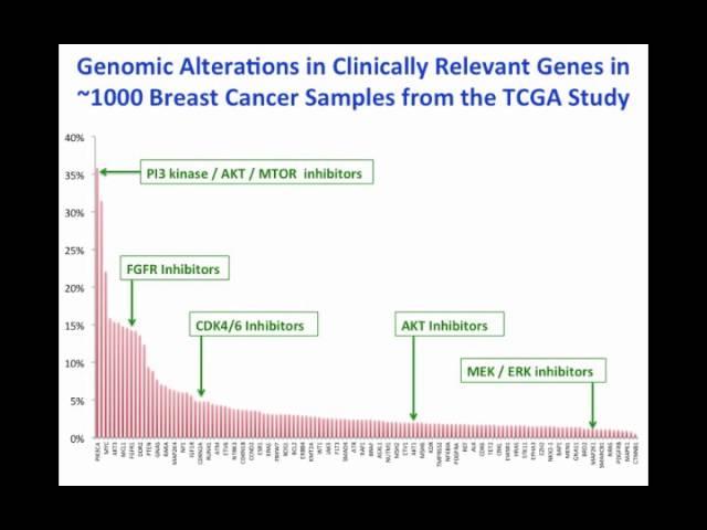 Breast Cancer Genomics and Precision Cancer Medicine | Dana-Farber Cancer Institute