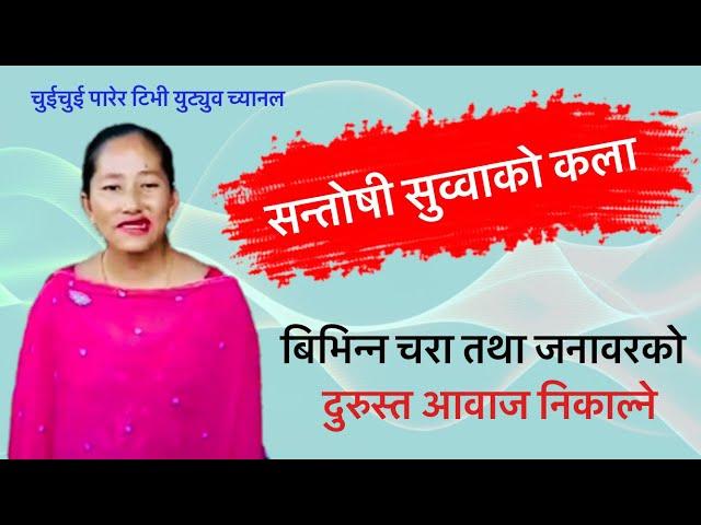 सन्तोषी सुव्वाको कला ॥ CHUICHUI PARERA TV