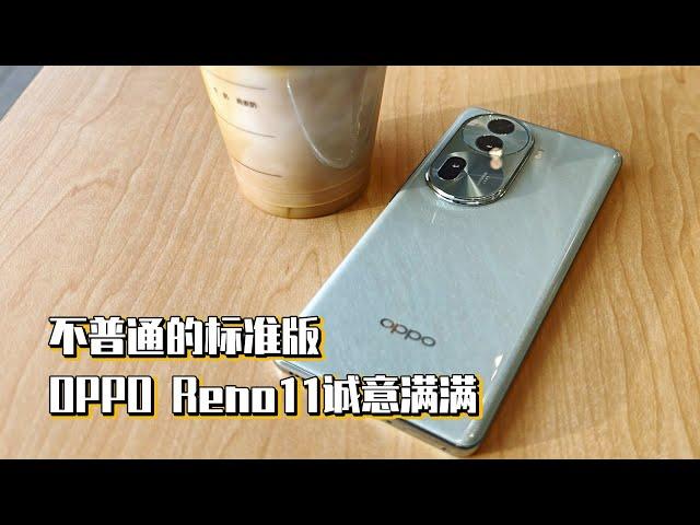 不普通的标准版，OPPO Reno11诚意满满