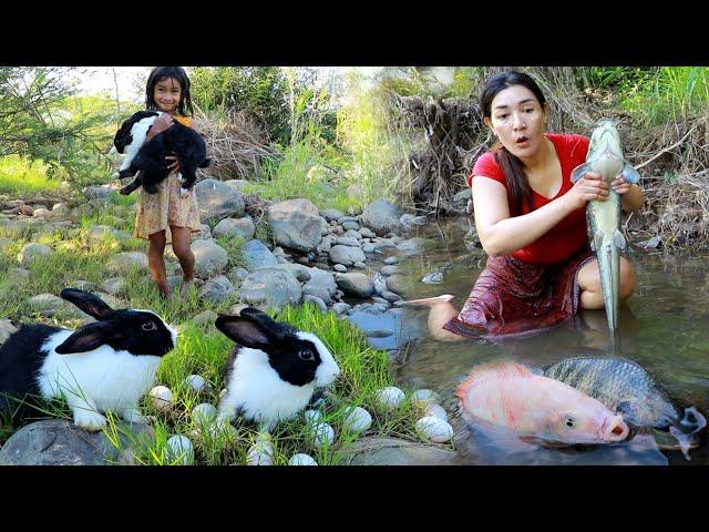 Amazing catching big fish in river- Grilled fish for lunch in forest of survival