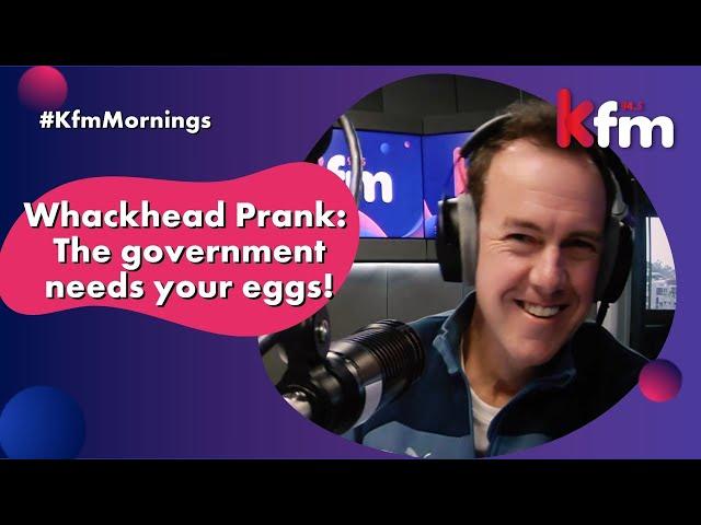 Whackhead prank: The government needs your eggs