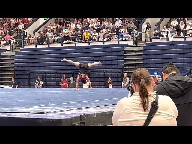 Asher Hong Floor - at NCAA Championships Final 230415