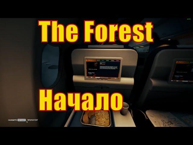 The Forest ● Airplane Crash ● Rotator Show