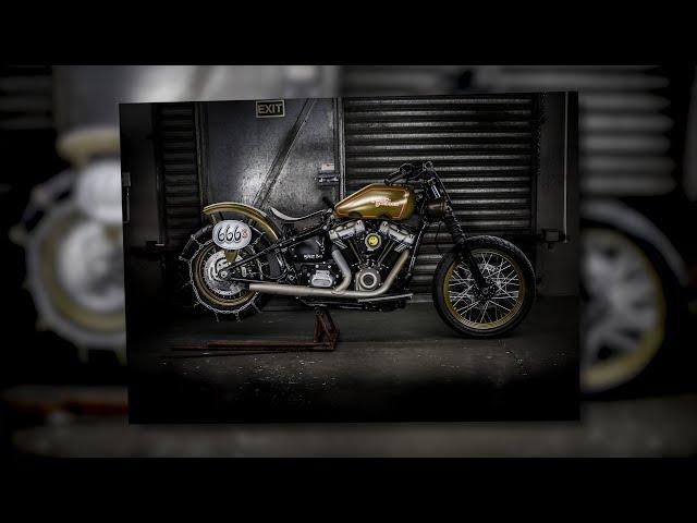 Harley-Davidson Battle of the Kings 2019 entry "Billy Bob" #harleydavidson #battleofthekings