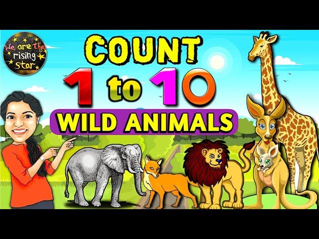 Wild Animals | Count 1 to 10 | Live examples | WATRstar