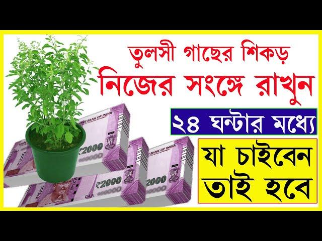 তুলসীর শিকড় আপনার কাছে রাখলেই ২৪ ঘণ্টায় আপনার সমস্ত কাজ হয়ে যাবে। #totka #money #tulsi