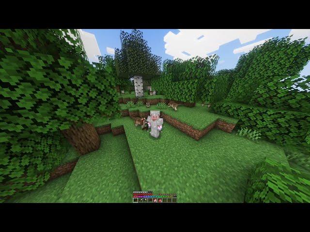 MINECRAFT FOREVER WORLD HARDCORE  PART 1