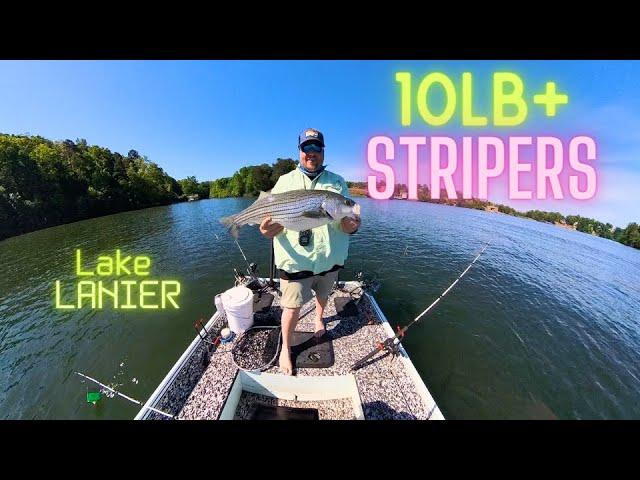 10LB+ Stripers:Fishing Lake Lanier Early Spring